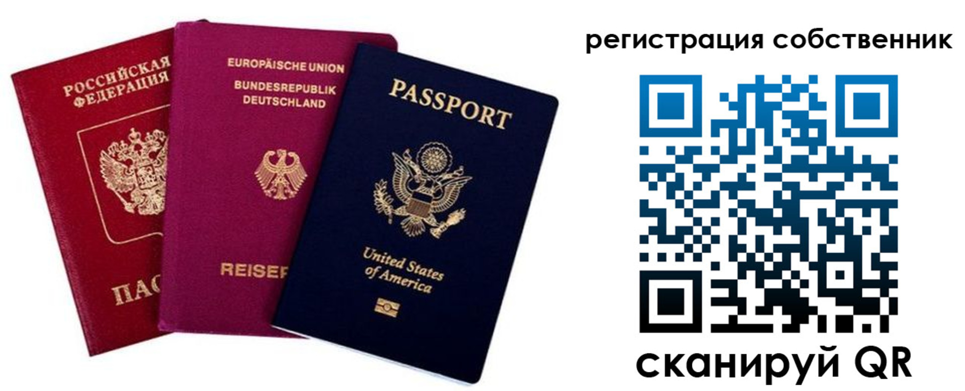 прописка гарантия в Зеленогорске